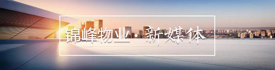 锦峰物业丨岁末年初 捷报频传